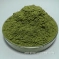 Free samples Natural Organic Oat Leaves Powder